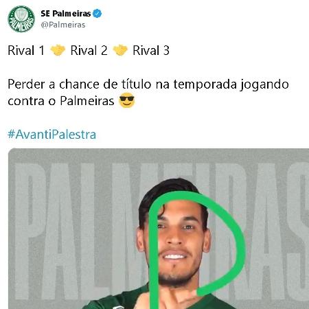 Palmeiras Elimina Chances De T Tulos Dos Rivais Na Temporada E Provoca