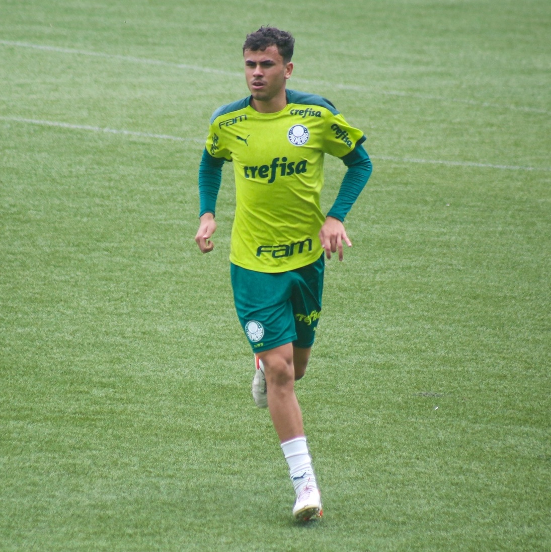 🎙️O que acham? #sep #palmeiras #pedrolima #avantipalestra