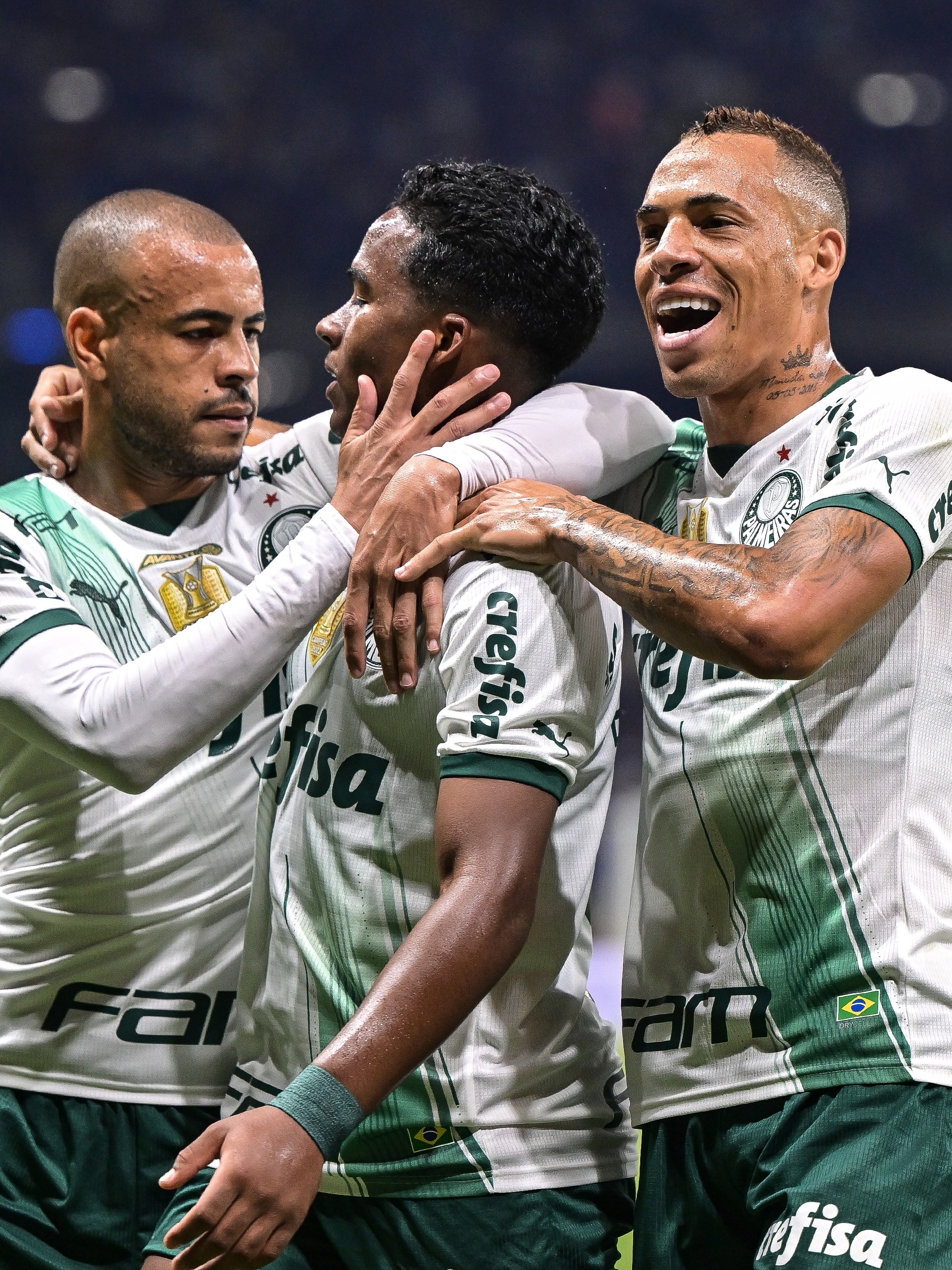 Tabela de Jogos do Palmeiras - Brasileirão 2012 - Palmeiras na Net