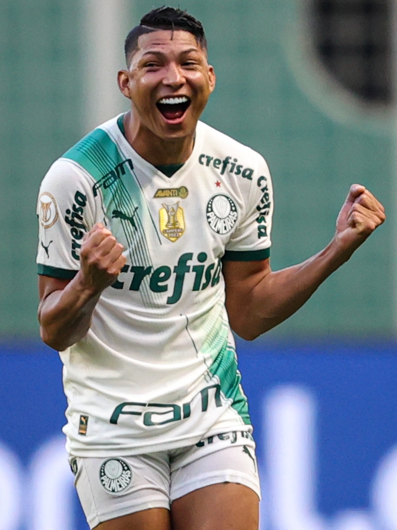 Tá eu menti, não tenho Netflix hoje vamos assistir o jogo do Palmeiras -  Thread from Central Rony Rústico @ronyrustico2m - Rattibha