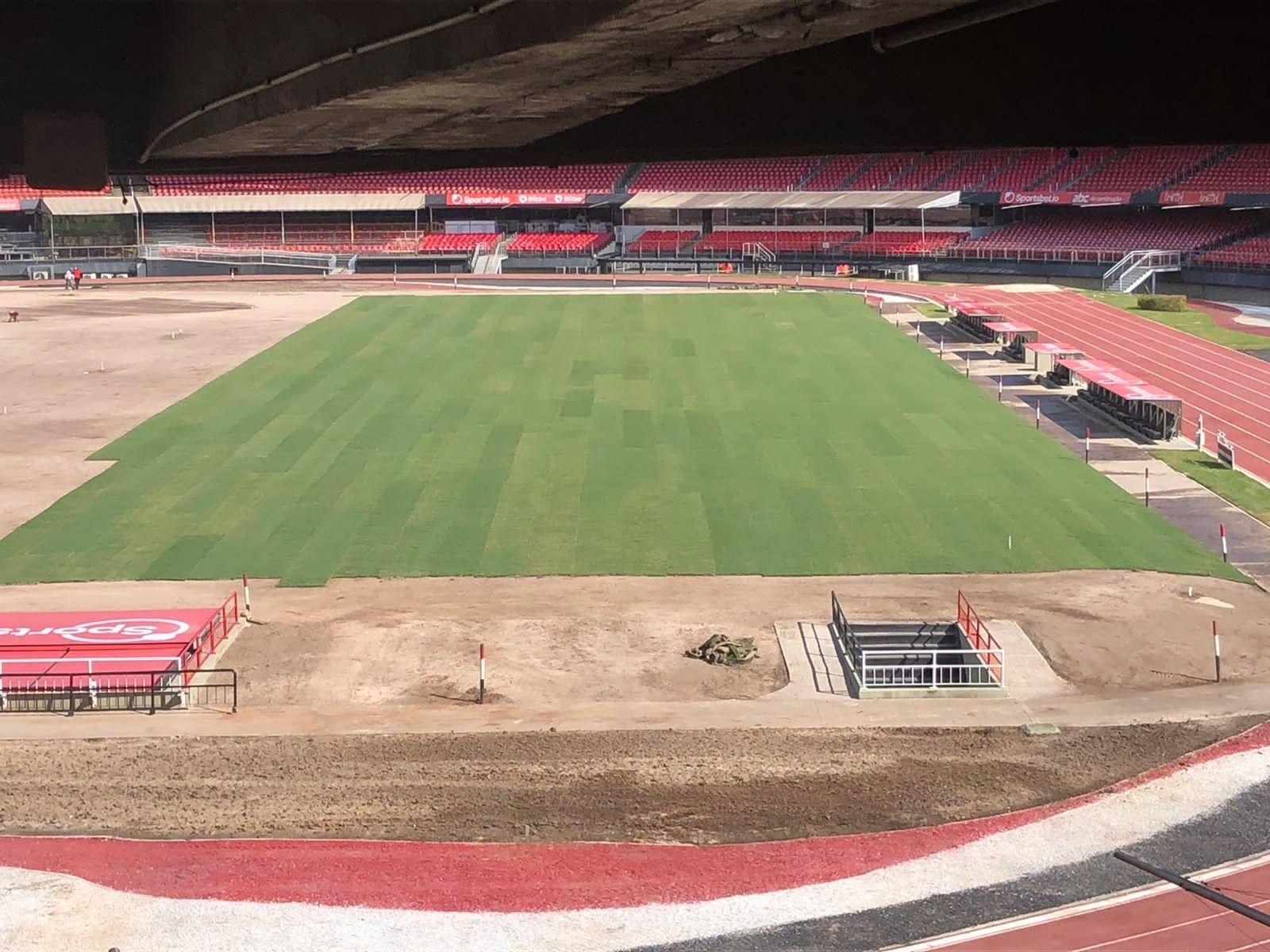 Novo gramado do Morumbi sobrevive à maratona de São Paulo e Palmeiras