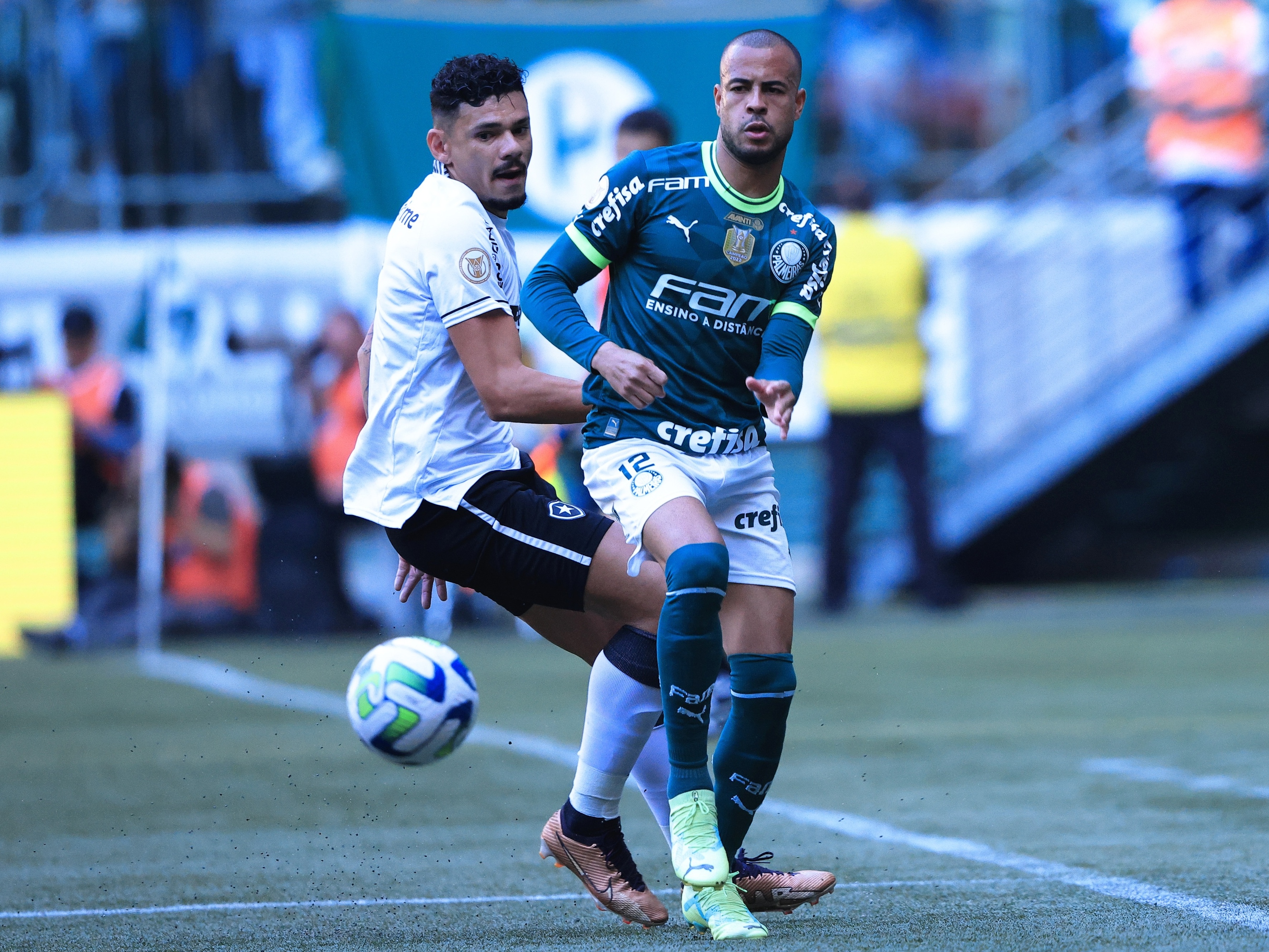 Virou final? Botafogo x Palmeiras ganha clima de decisão pelo título, brasileirão série a
