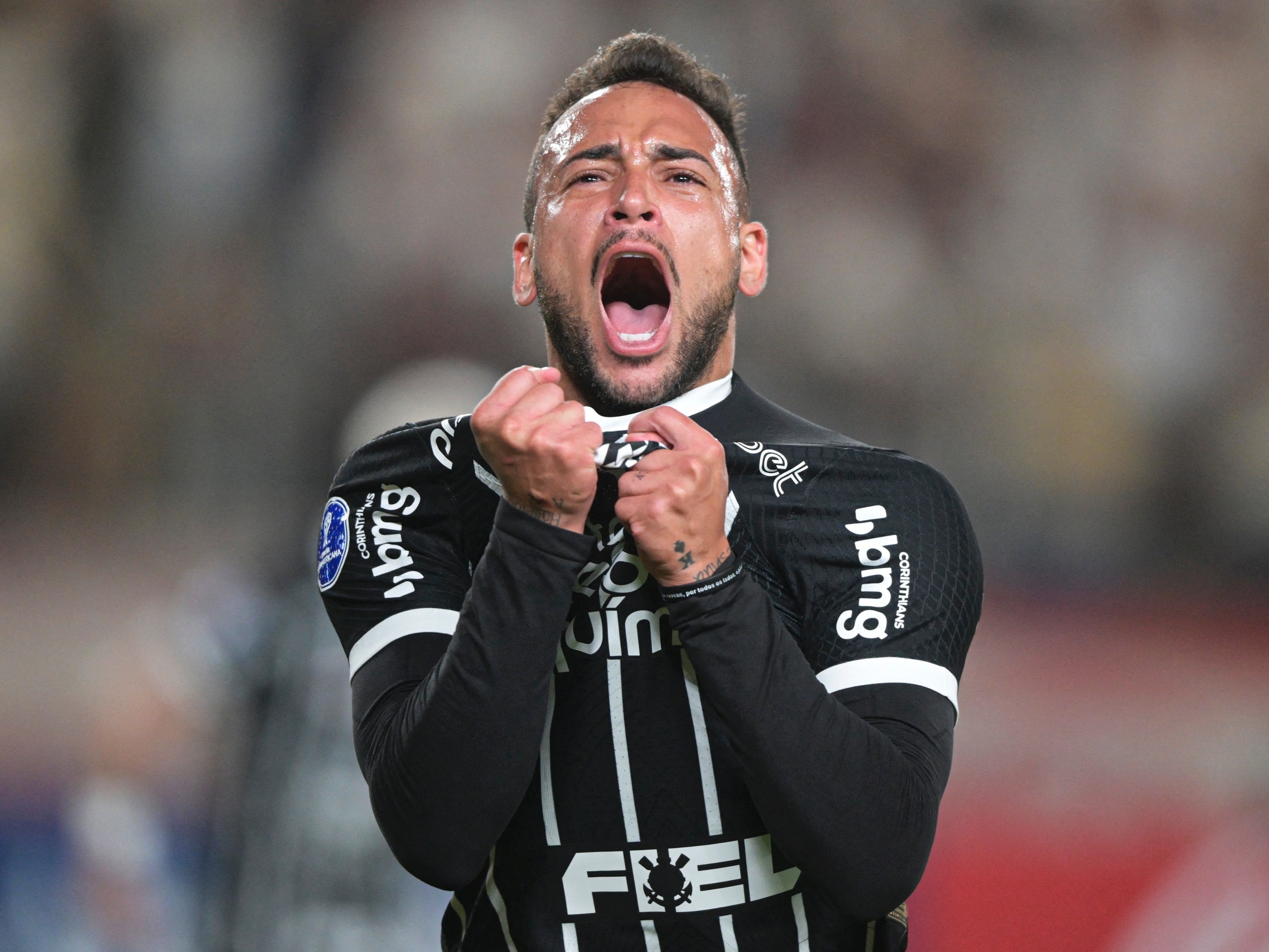 Qual foi o melhor jogador do Corinthians que vc já viu ? : r