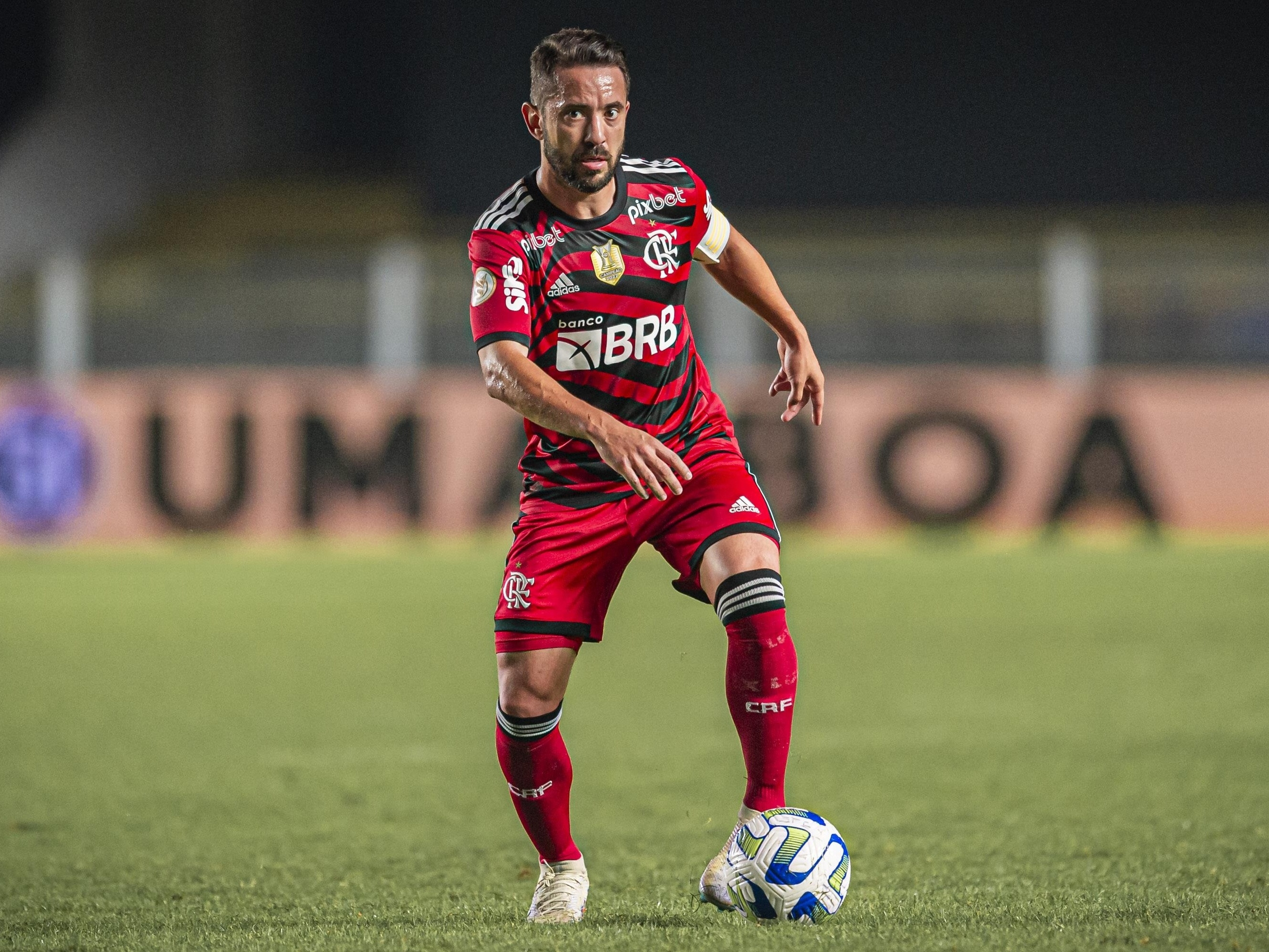 Flamengo x Santos AO VIVO  Campeonato Brasileiro 