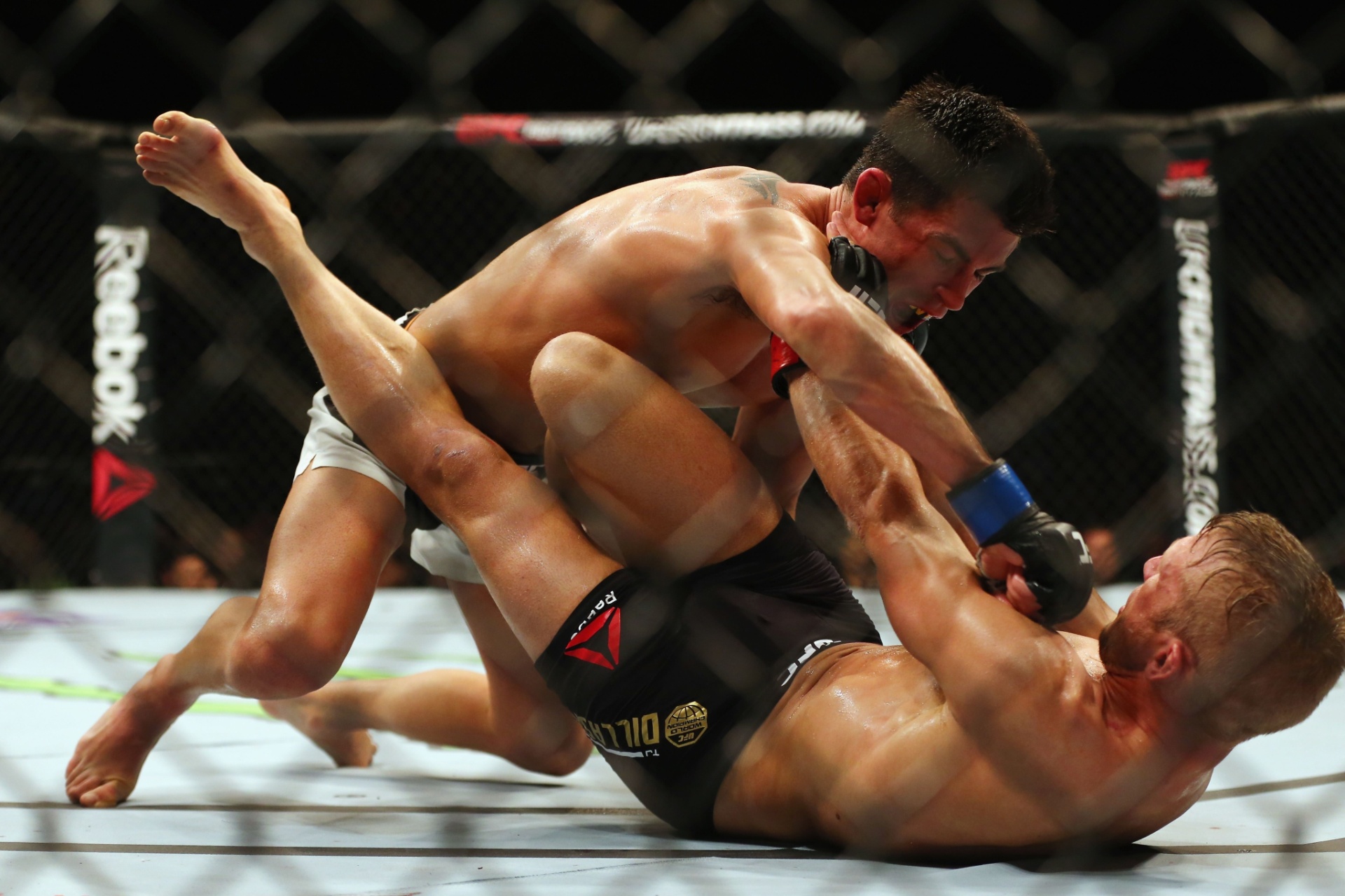 Fotos UFC Fight Night Dillashaw x Cruz 18/01/2016 UOL Esporte