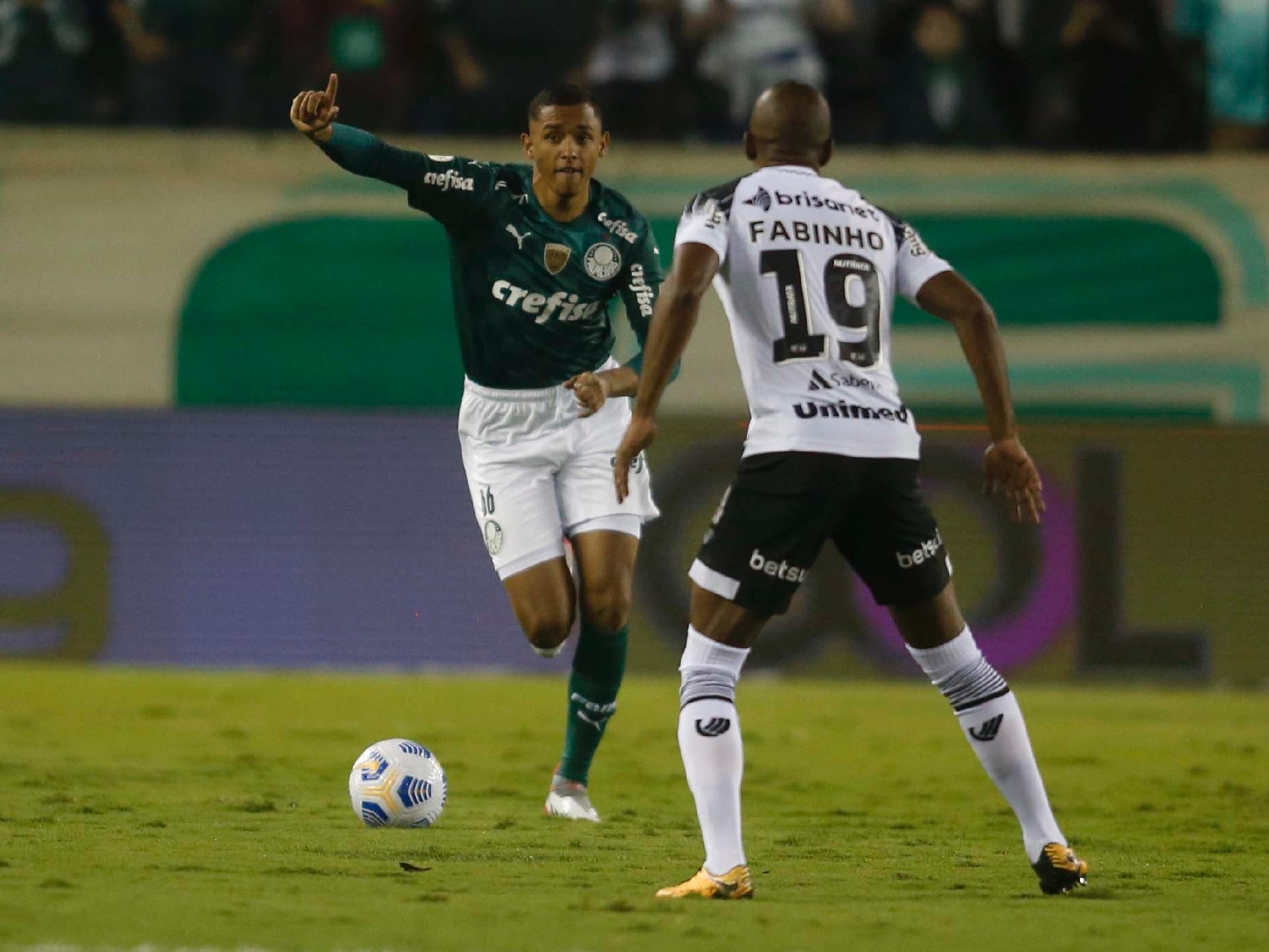 [OPINIÃO] Palmeiras fez Brasileirão aceitável, mas precisa renovar elenco