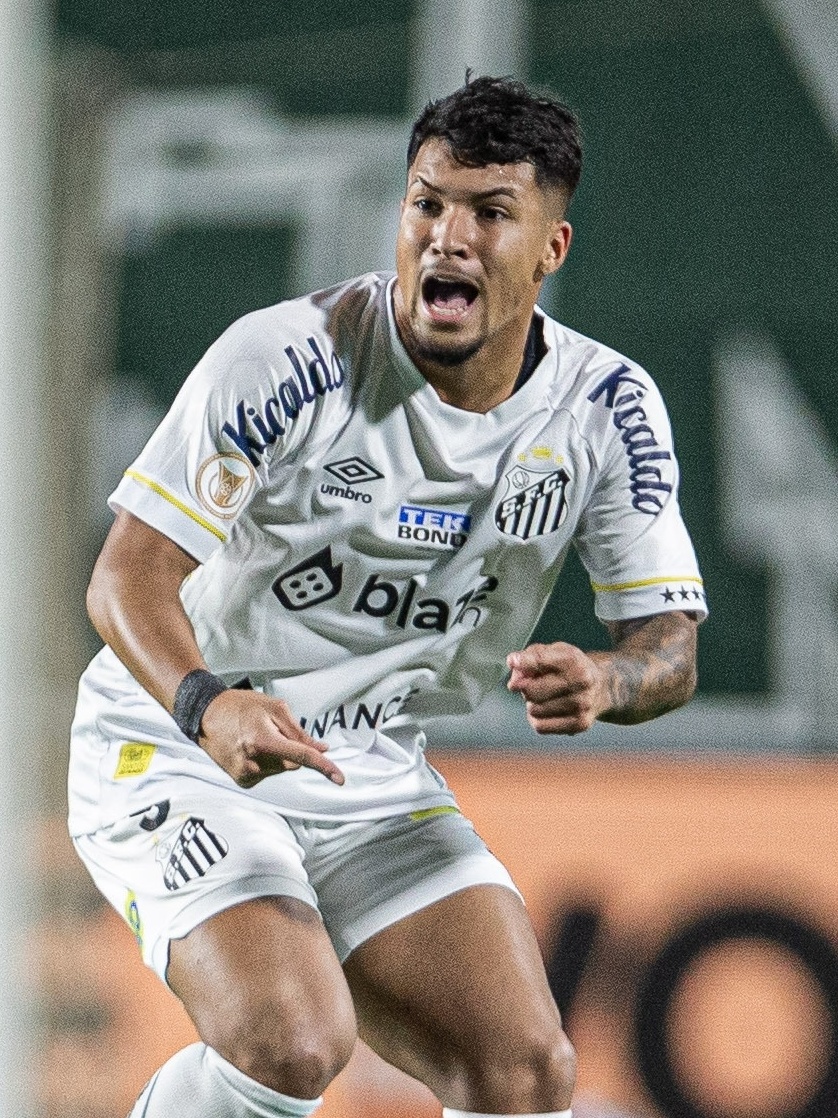 Marcos Leonardo está a um golzinho de alcançar marca histórica no Santos -  Revista Santista