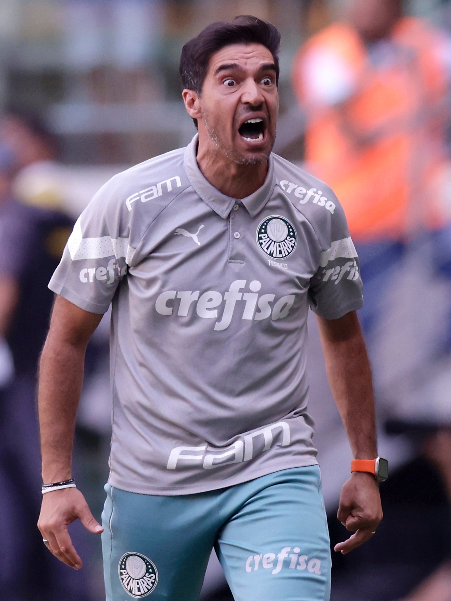 Palmeiras vence Fluminense e é “campeão” do Brasileirão 2023