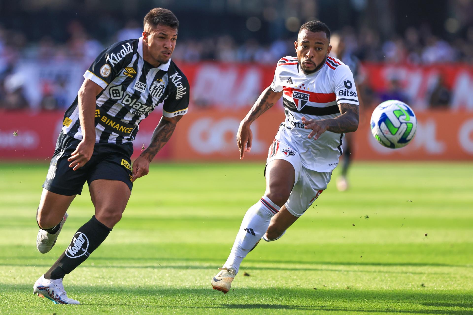 Jogo entre Palmeiras e Botafogo vale 'Cinturão do Futebol