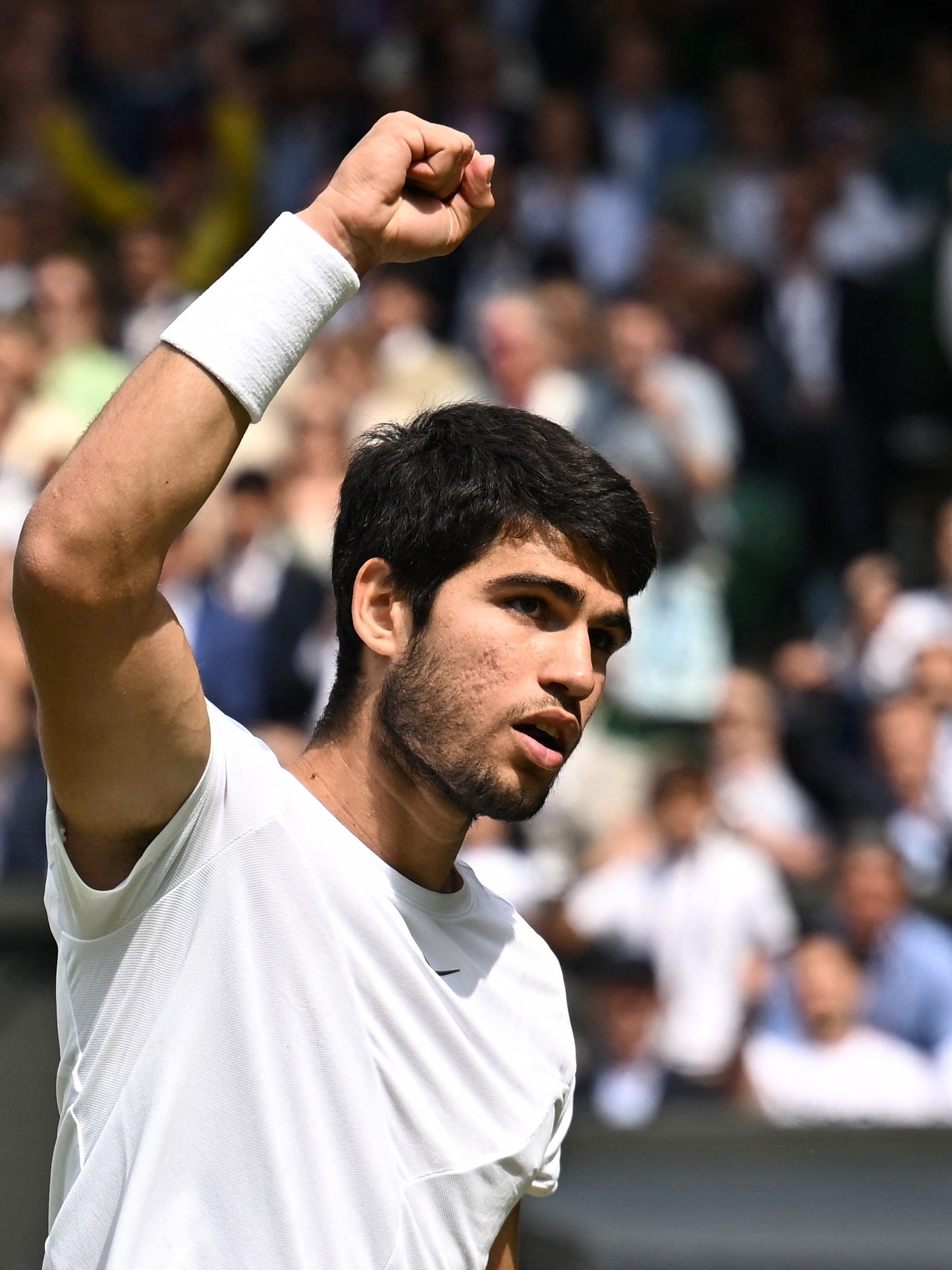 Wimbledon: onde assistir a final entre Novak Djokovic e Carlos Alcaraz