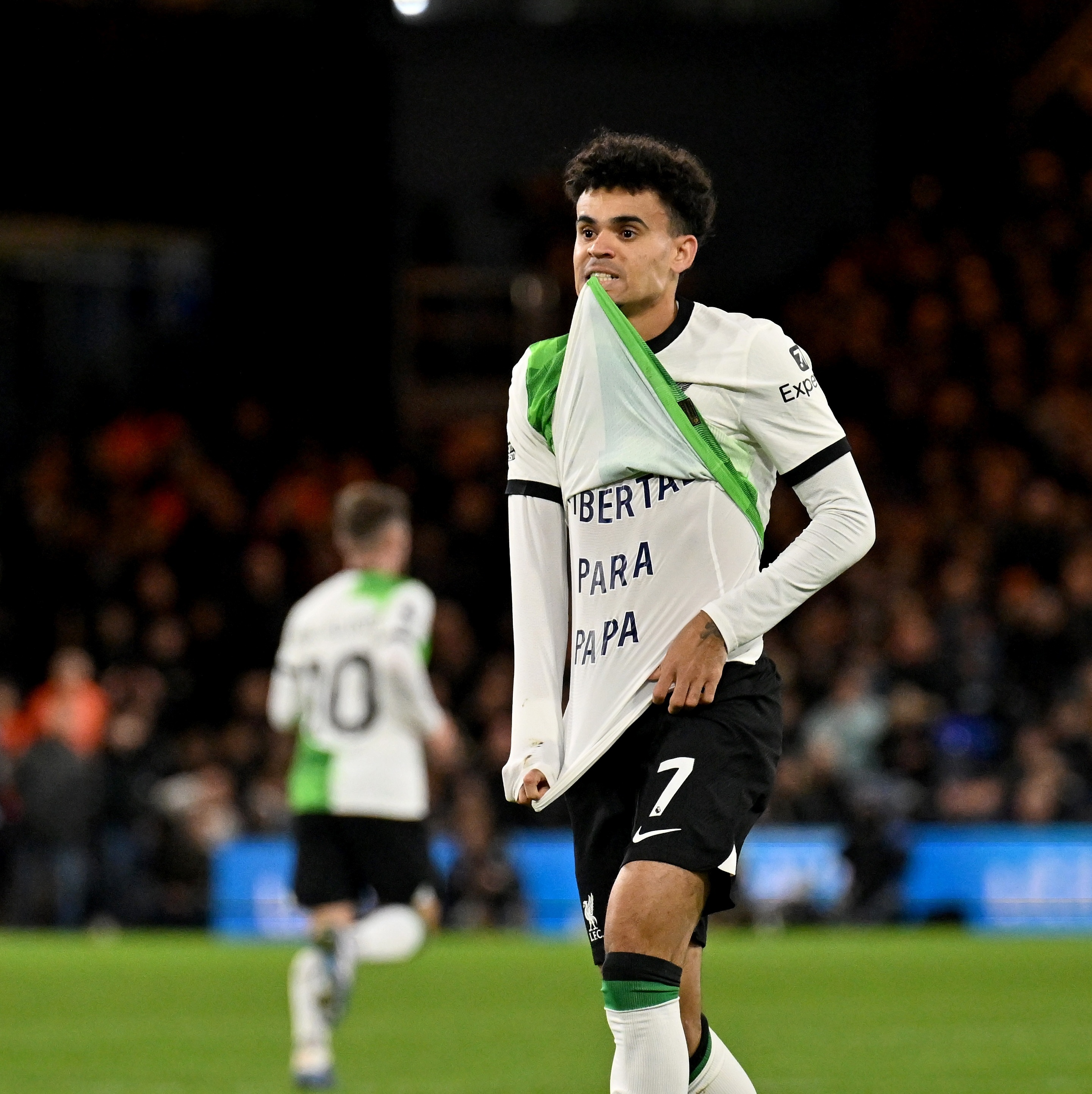 Partida da Premier League tem jogo suspenso após jogador do Luton Town  sofrer parada cardíaca - Netflu - Futebol Internacional