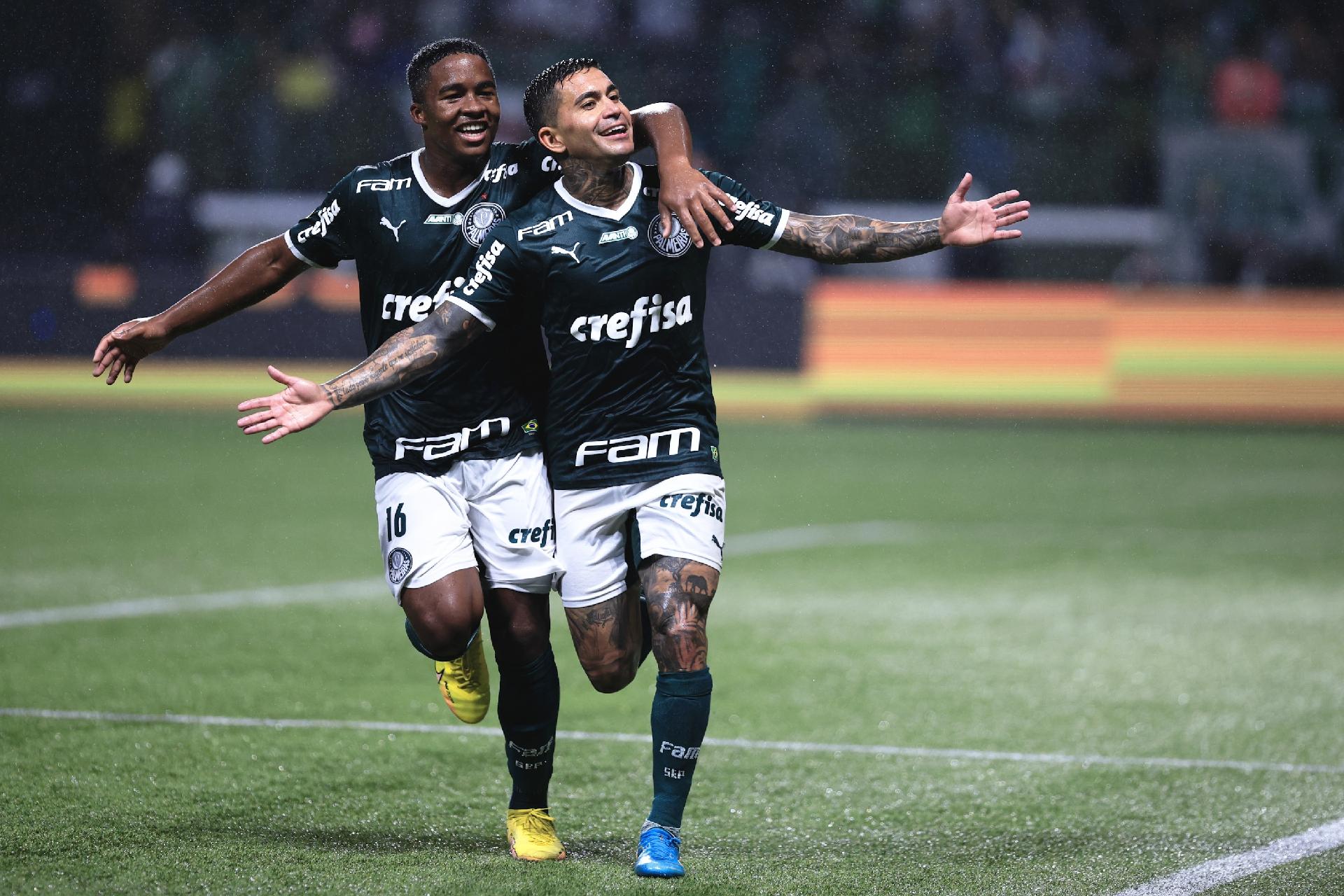 Botafogo x Palmeiras: informações e prováveis escalações do jogo pela 31ª  rodada do Brasileirão - Gazeta Esportiva