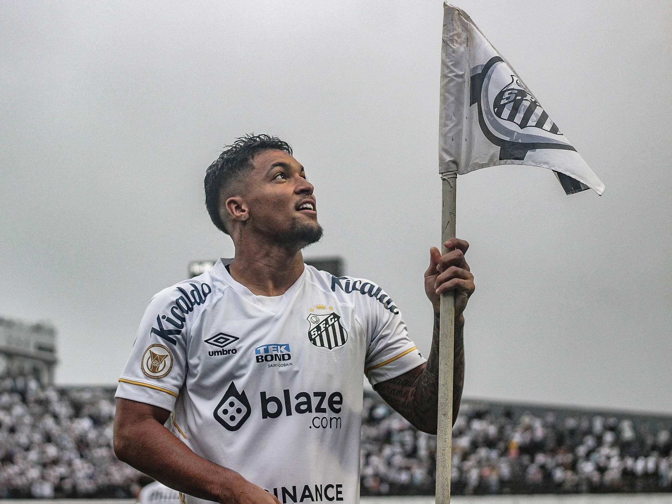 Santos x Vasco: Palpites pelo Brasileirão Série A - 01/10