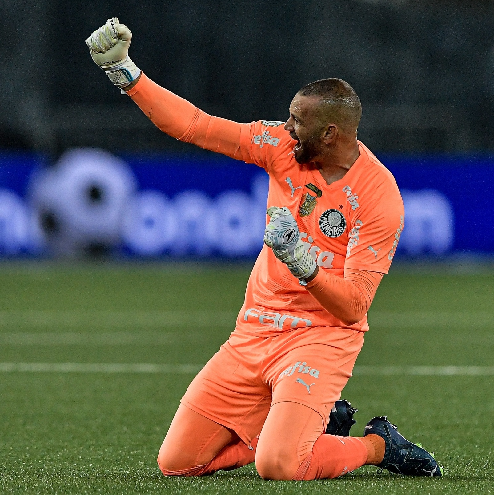 O bom goleiro WEVERTON tem problemas com pênaltis,tem que treinar mais