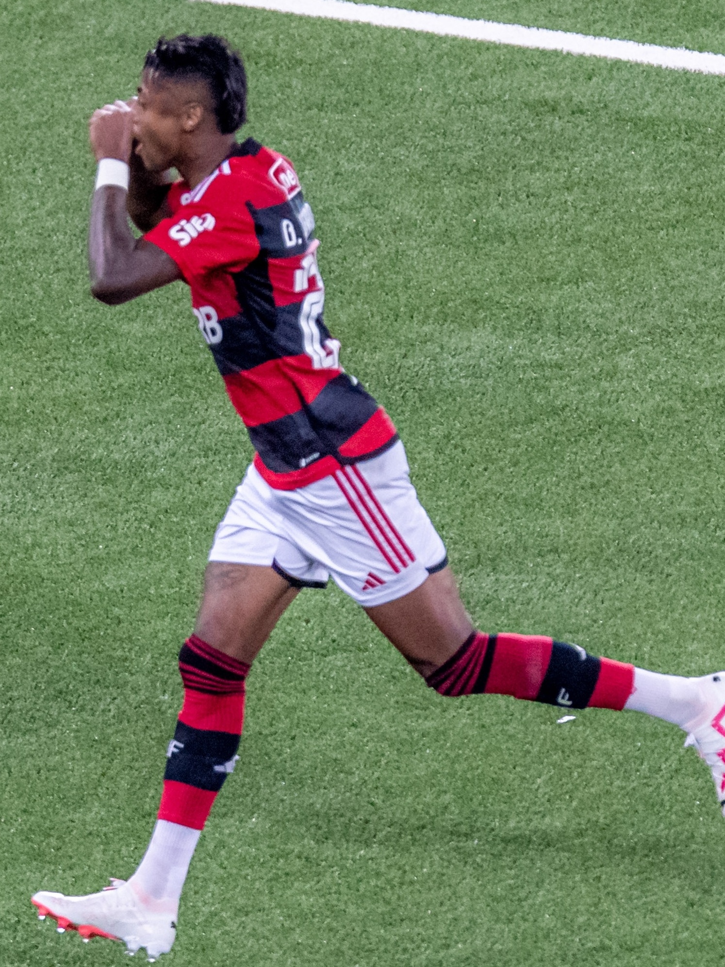 Em jogo movimentado, Flamengo vence o Botafogo por 2 a 1 pelo Brasileirão