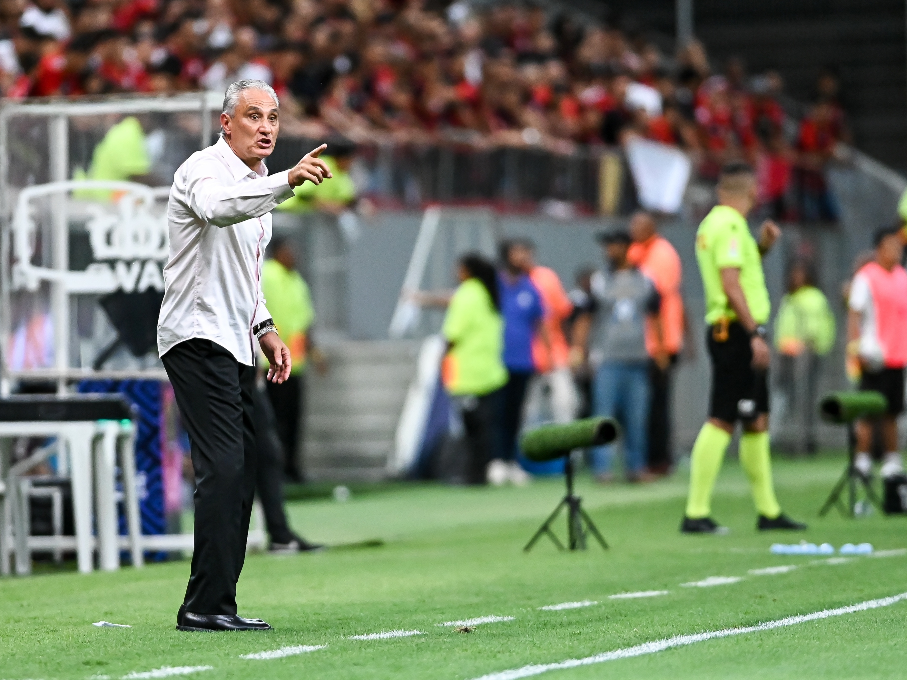 Fator Tite” anima torcedores para jogo entre Flamengo x Santos