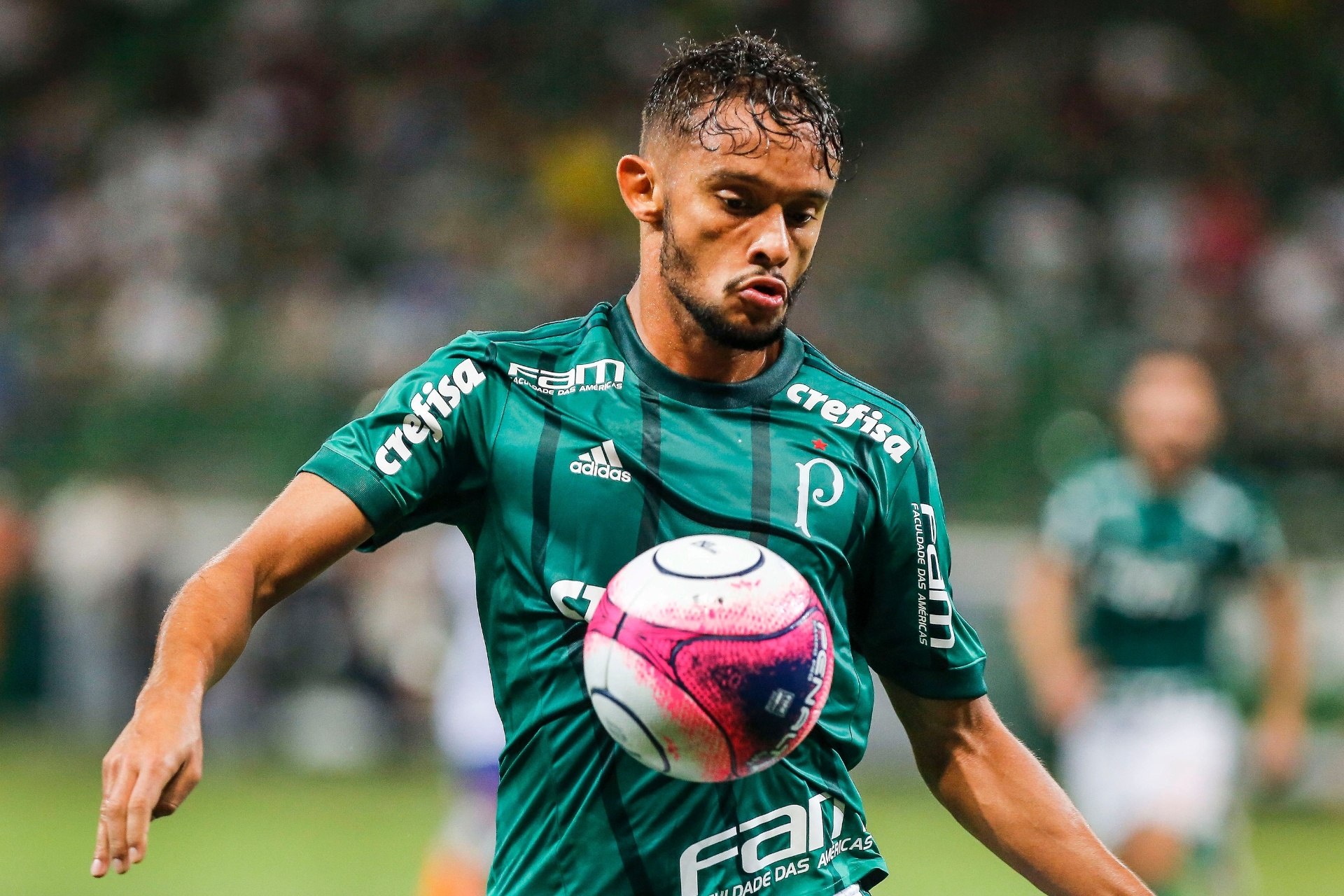 Fluminense indica acordo para volta de meia para o Verdão 