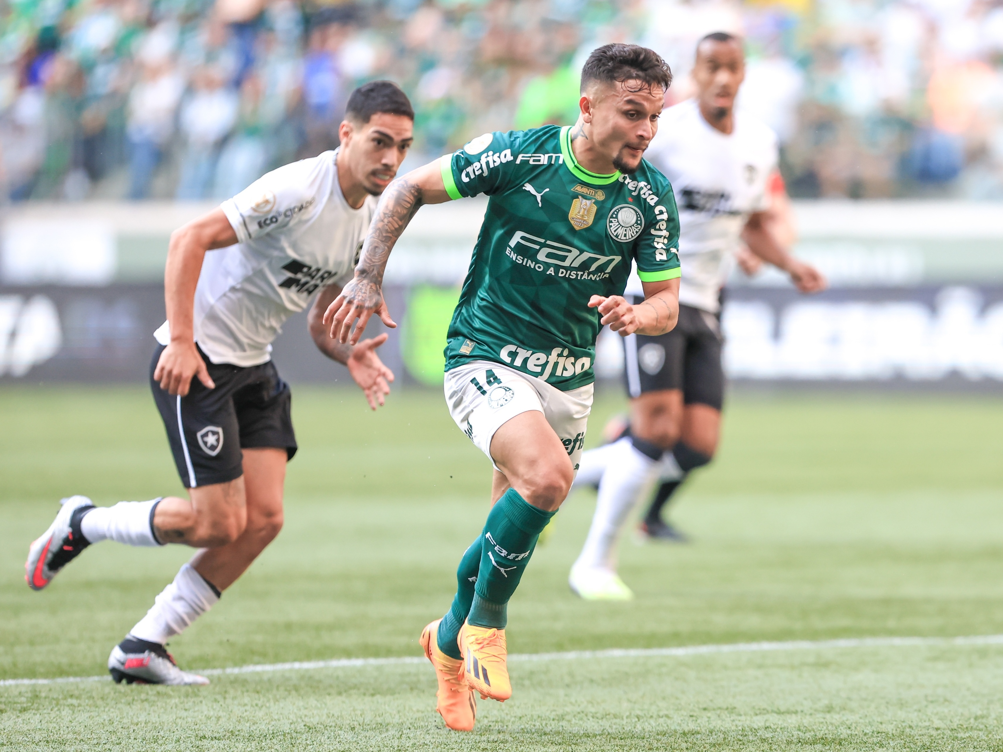 Botafogo x Palmeiras ao vivo: onde assistir ao jogo do Brasileirão online