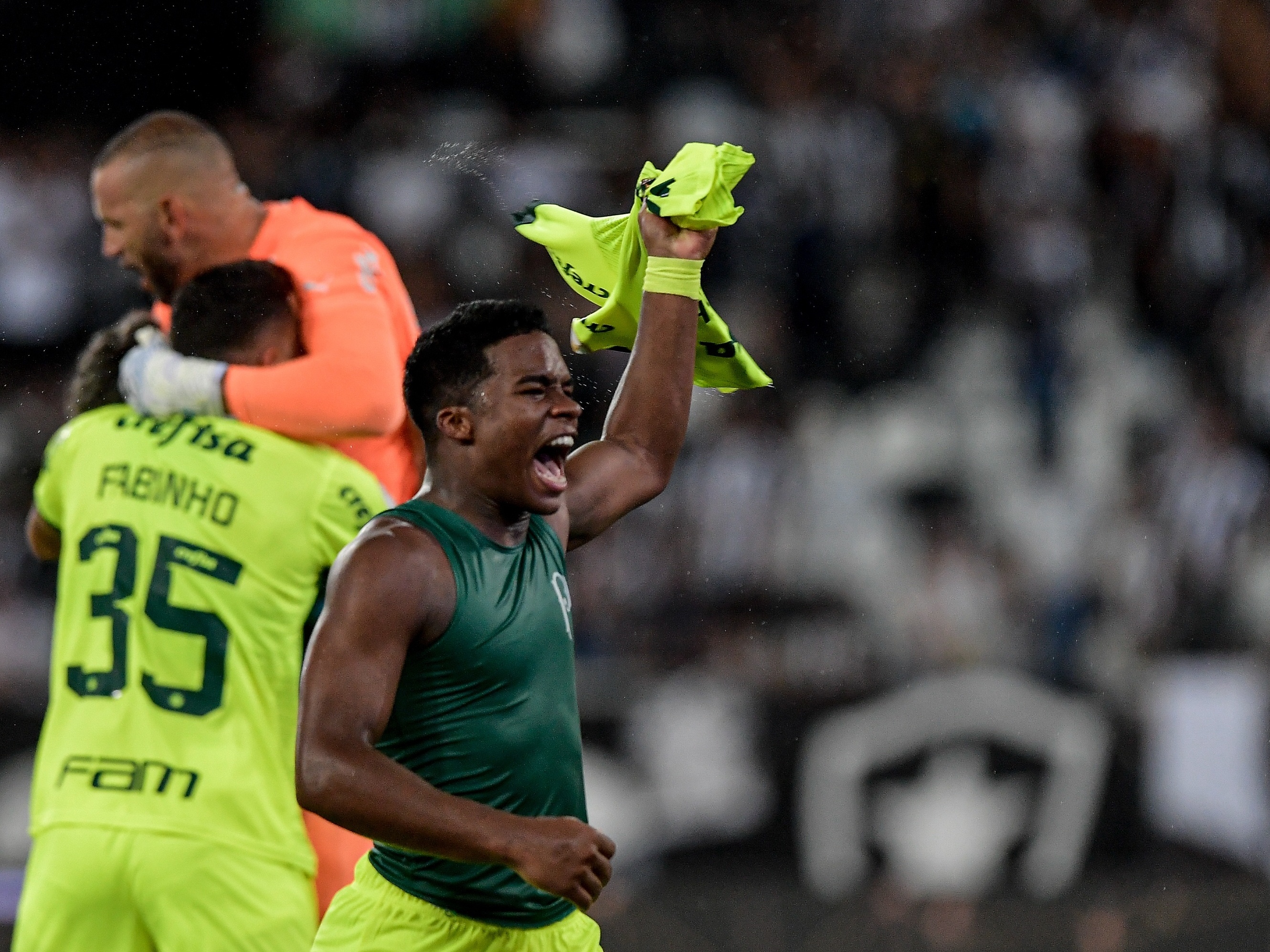 Santos arranca empate no fim e mantém Botafogo atrás do Palmeiras no  Brasileirão – REVISTA PARANÁ