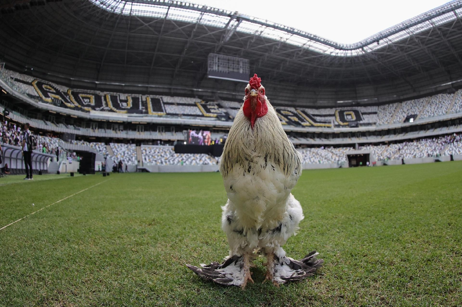 Dívida do Atlético-MG: entenda perfil de endividamento do Galo