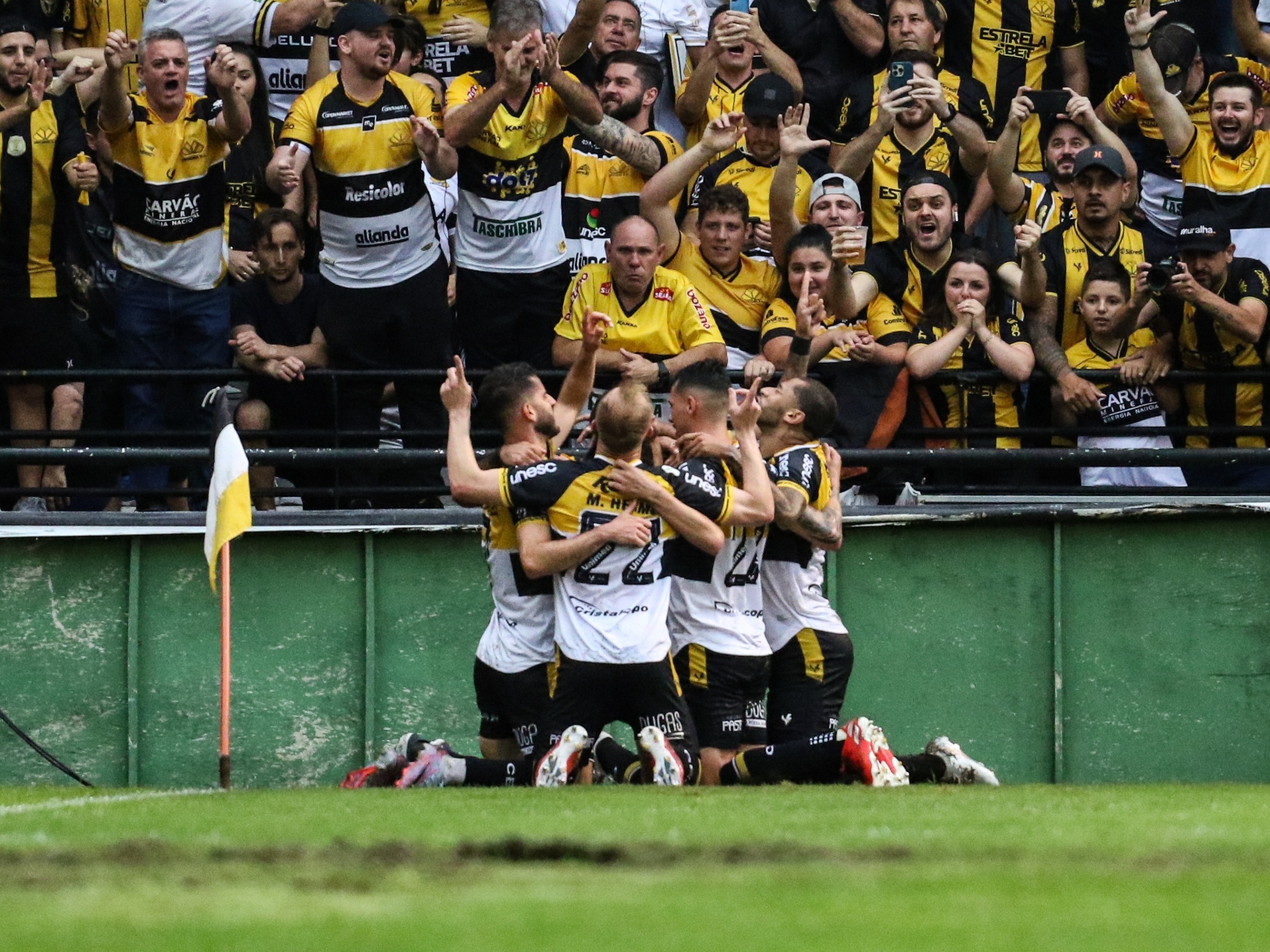 Chegou a hora! Criciúma x Botafogo-SP: onde assistir ao jogo que pode  garantir o acesso do Tigre - NSC Total