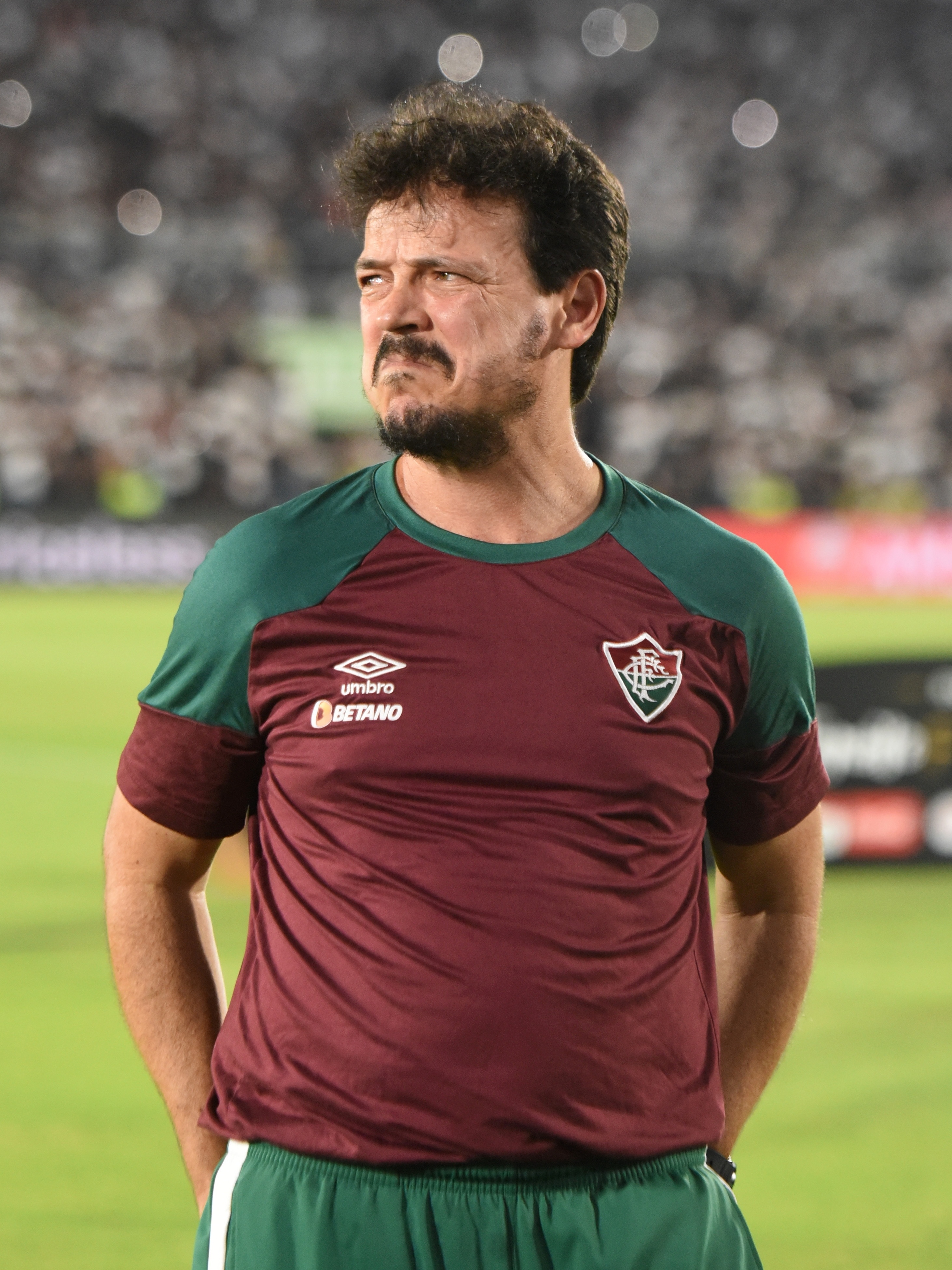 Diniz não condena vaias e valoriza classificação do Fluminense na  Libertadores: 'Fomos líder no grupo mais difícil', Fluminense