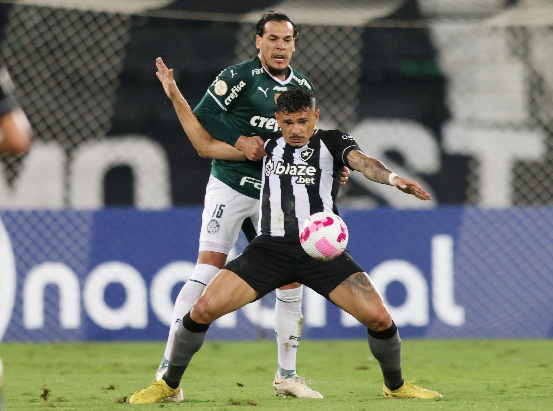 PALMEIRAS X BOTAFOGO TRANSMISSÃO AO VIVO DIRETO DO ALLIANZ PARQUE -  CAMPEONATO BRASILEIRO 2023 