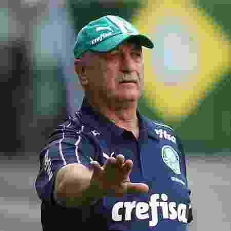 Palmeiras Qual O Melhor T Cnico Dos Ltimos Anos Vote