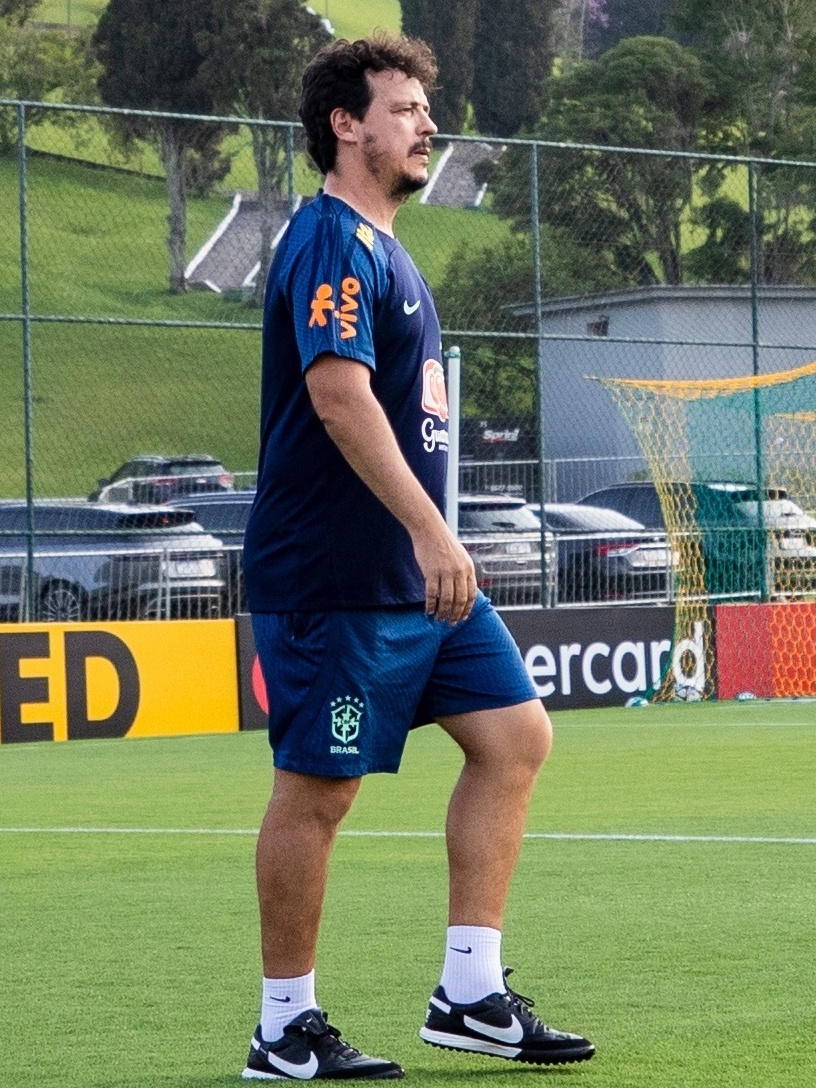 Diniz realiza 2ª convocação da seleção brasileira e surpreende com Gerson -  Placar - O futebol sem barreiras para você