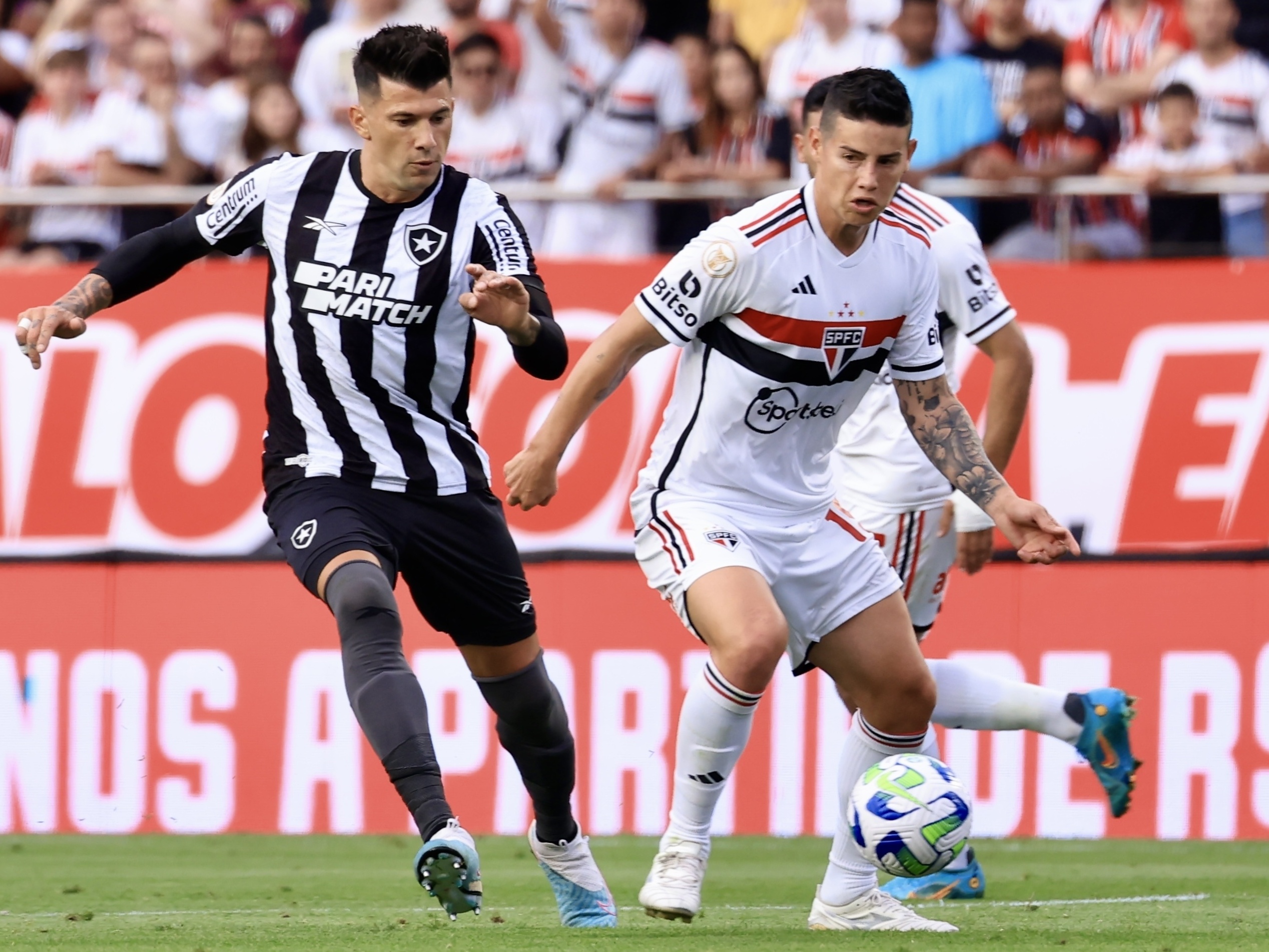 São Paulo x Botafogo: onde assistir ao jogo de hoje do Brasileirão