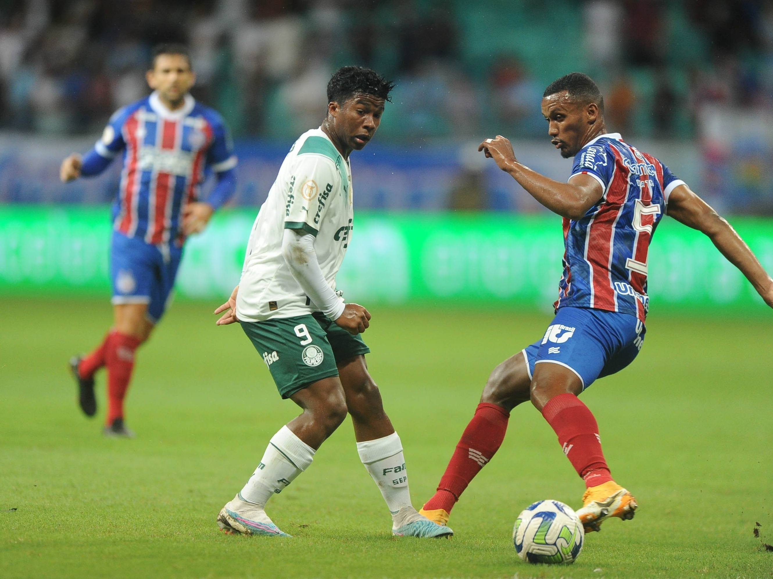 Palmeiras x Bahia: onde assistir ao jogo pelo Brasileirão