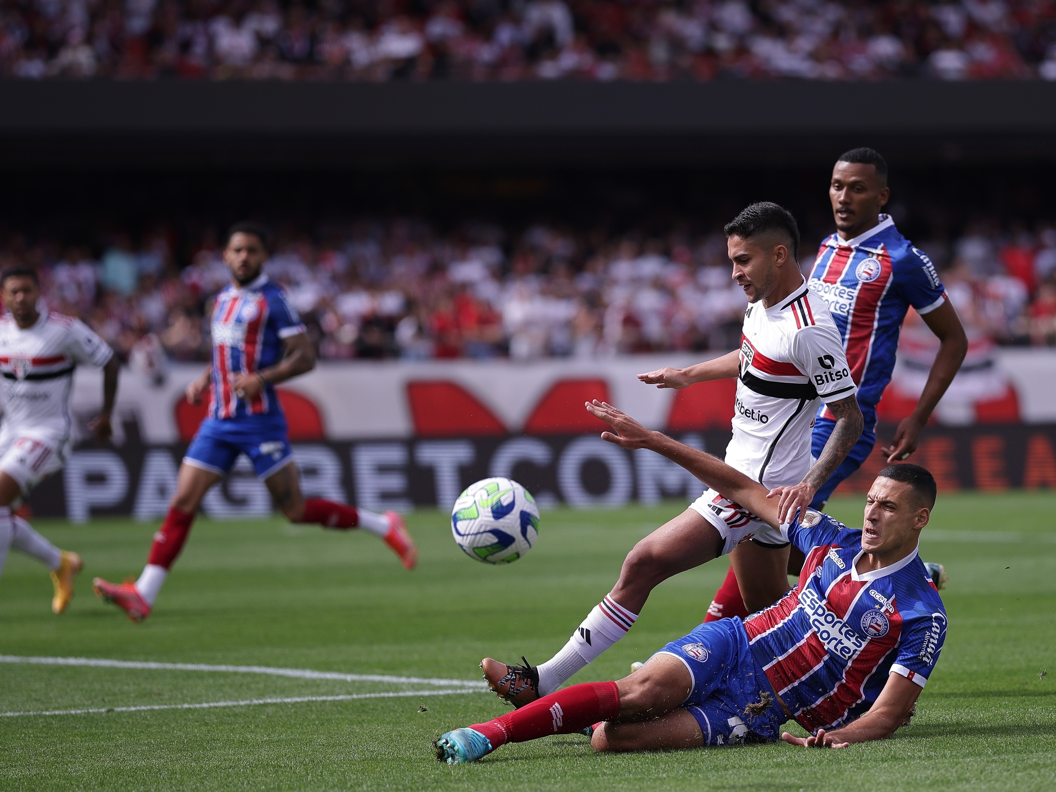 Como assistir São Paulo x Bahia hoje AO VIVO pela 24ª rodada da