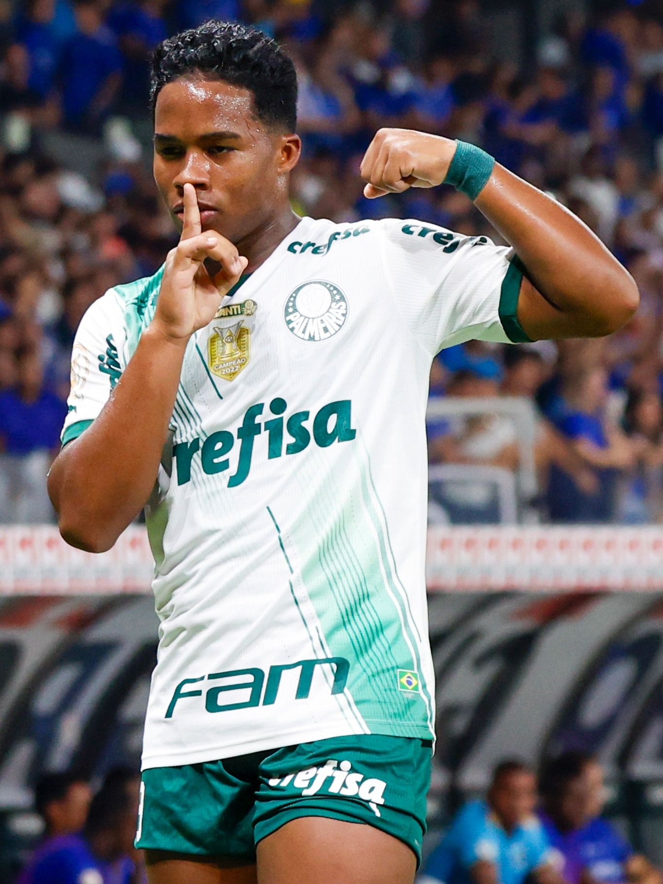 É campeão! Palmeiras empata com o Cruzeiro e conquista o Campeonato  Brasileiro de 2023, Futebol