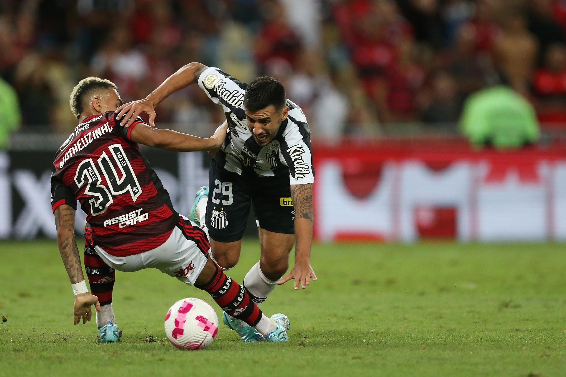 Flamengo x Santos: veja horário e onde assistir ao jogo