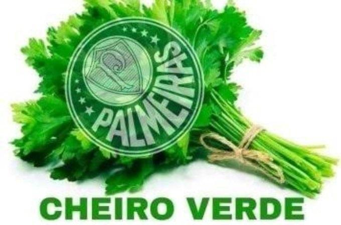 MEMES PALMEIRAS NÃO TEM MUNDIAL, ELIMINADO - MELHORES MEMES DE