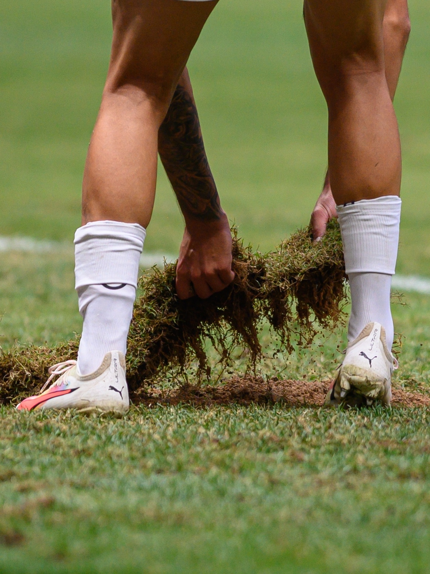 🐔🎥 HOJE TEM GALO ATLÉTICO X SANTOS ESTREIA NA ARENA MRV♋️ Descubra as vantagens do SAEM
