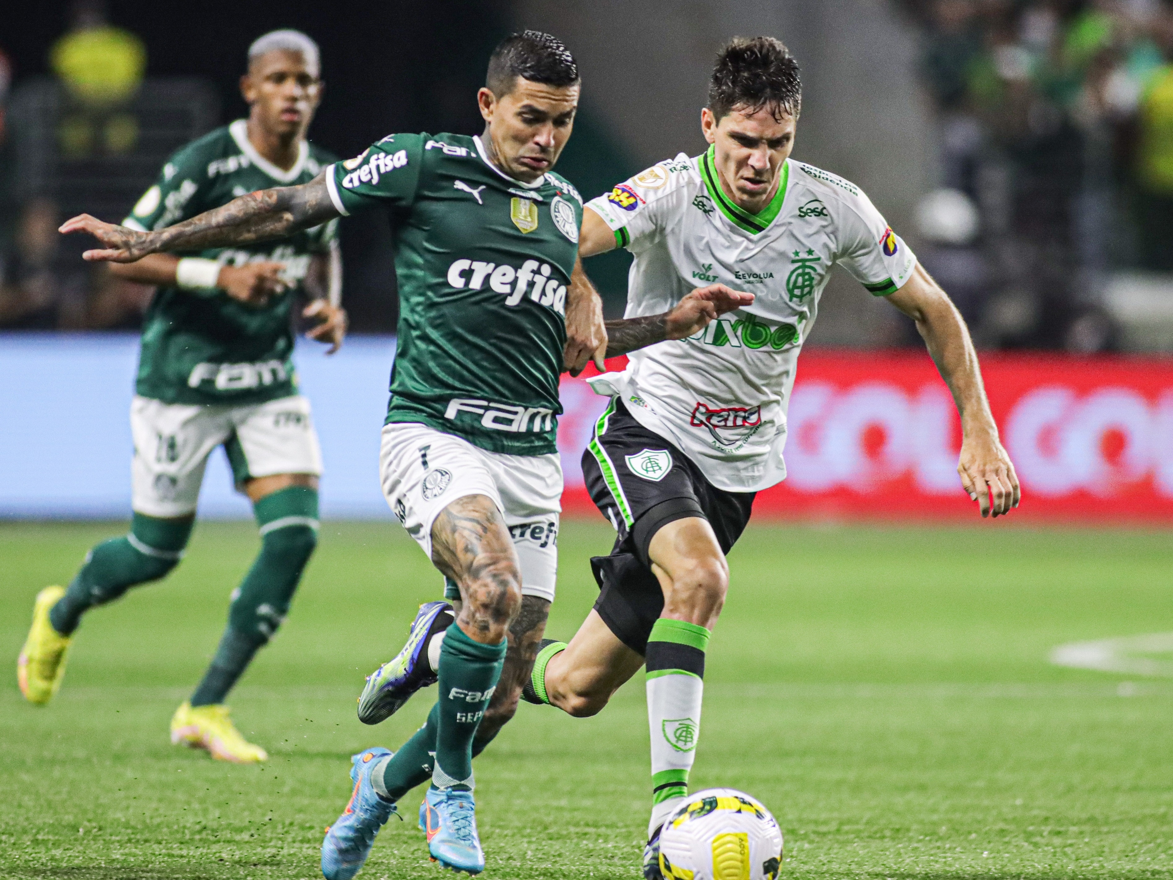 Palmeiras x América-MG: onde assistir ao jogo do Brasileirão