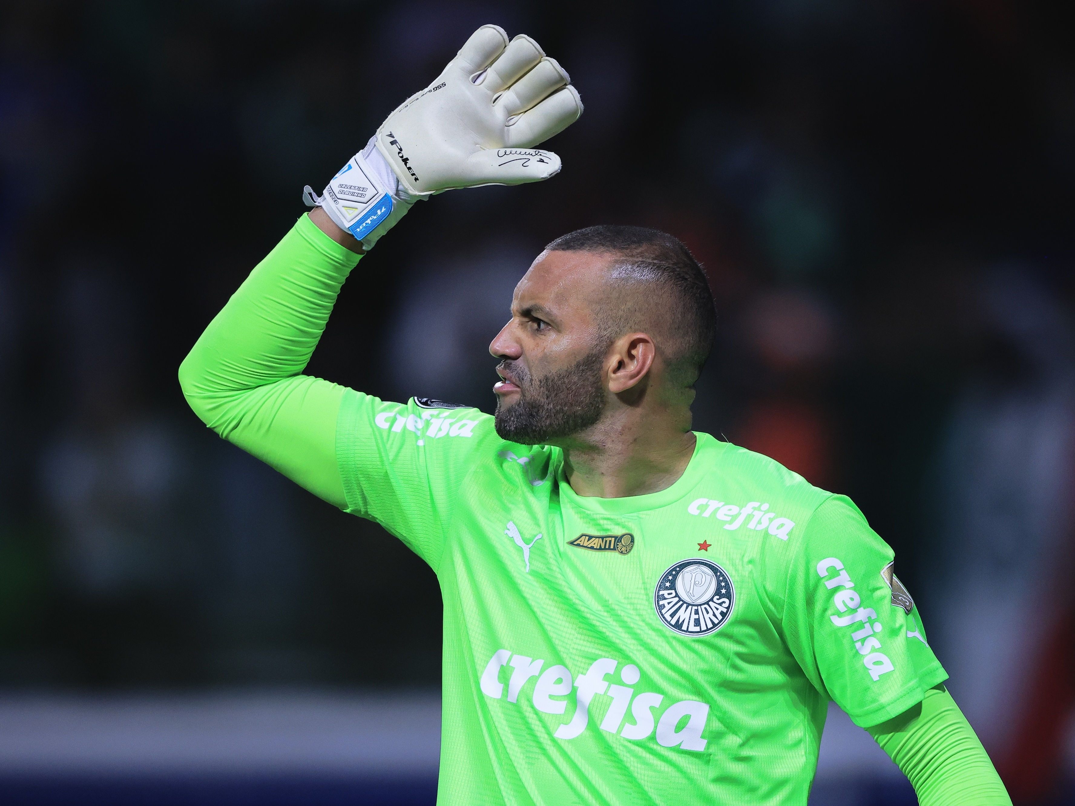 Weverton tem números próximos aos pênaltis de Prass no Palmeiras