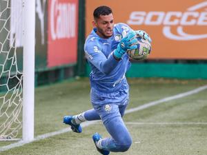 Palmeiras X Queimadense Onde Assistir Ao Vivo Ao Jogo Da Copinha