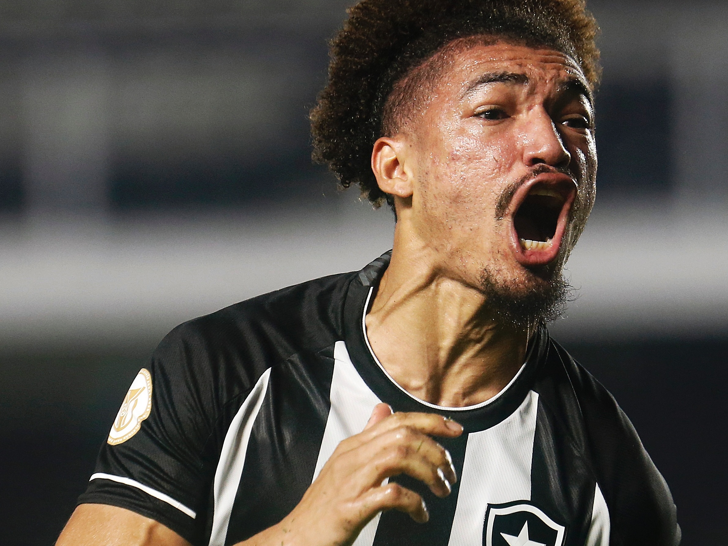 BOTAFOGO RUMO AO BRASILEIRÃO 