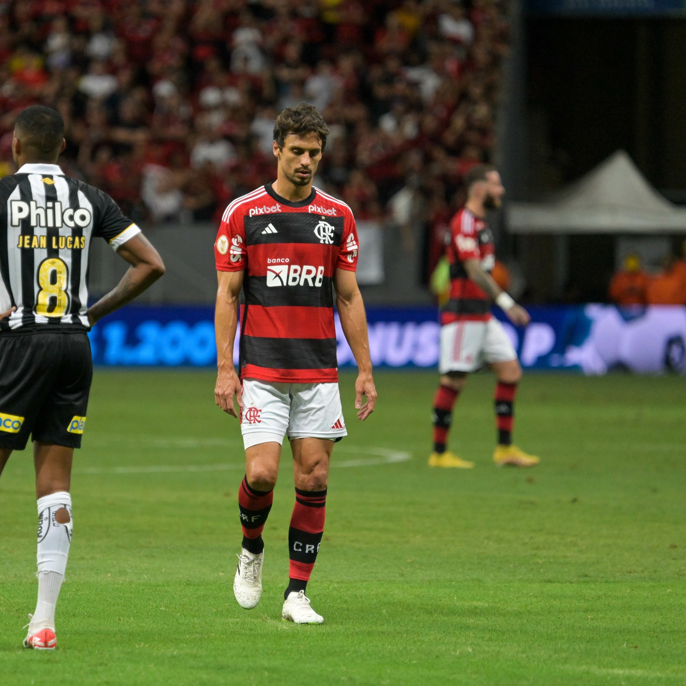 Brasileirão: como foram os últimos jogos entre Flamengo e Santos?