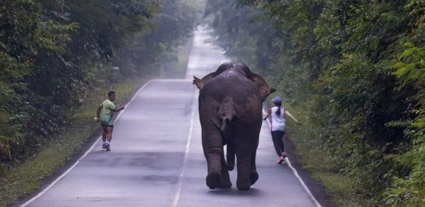 Reprodução/Facebook
