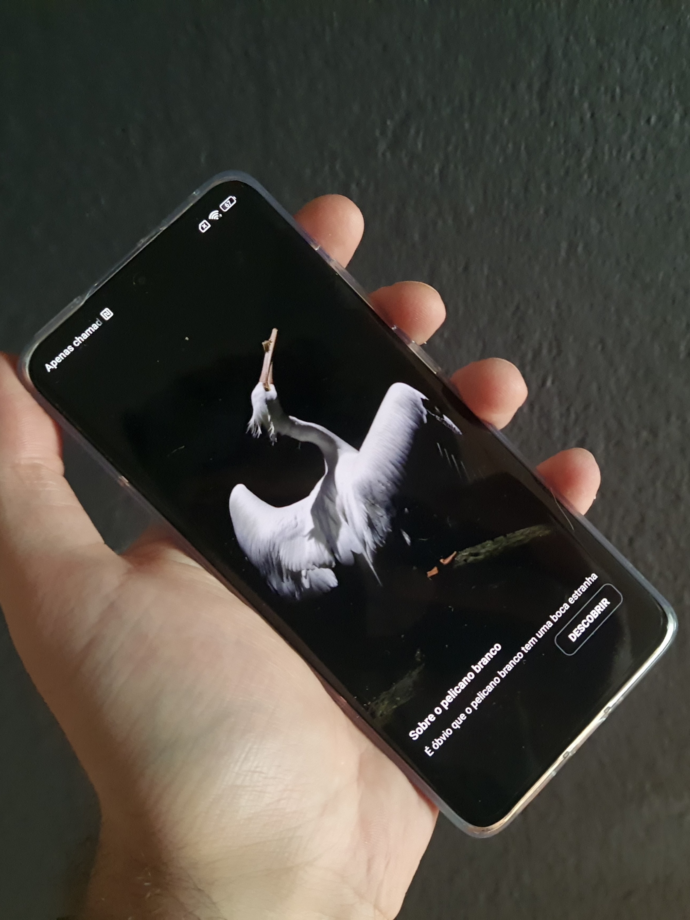 Smartphone Xiaomi 12 256 GB Azul Tela 6.28 Câmera Traseira 50MP