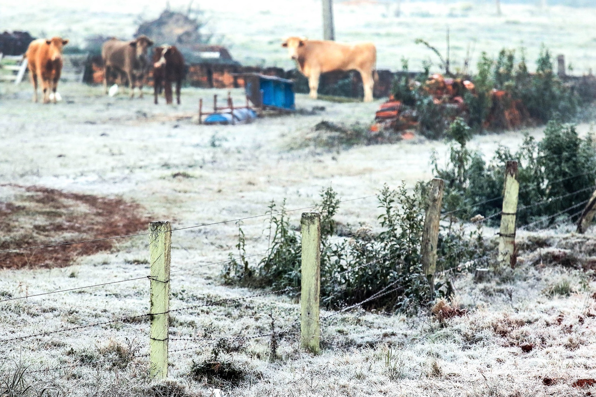 Eles Não Sentem Frio! Entenda Por Que Algumas Pessoas Não Sofrem No ...