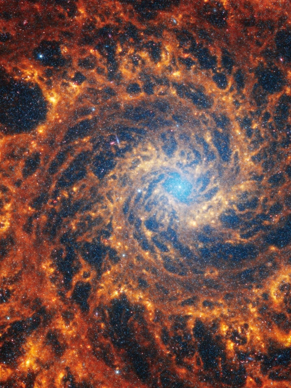 Telescópio James Webb capta 19 galáxias com resolução inédita