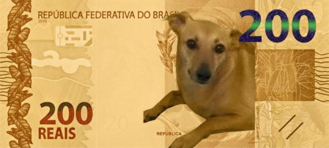 Imagem da cédula de R$ 200, com lobo-guará, é divulgada pelo Banco Central