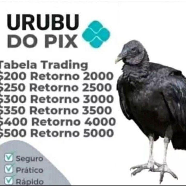 O que é o urubu do Pix?