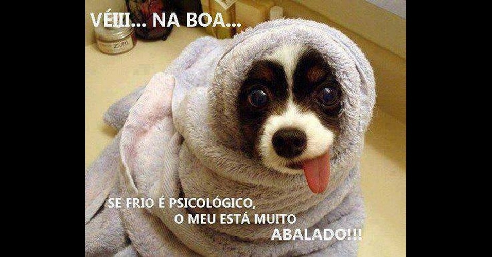 Onda de frio no país vira brincadeira no Facebook e Twitter - BOL Fotos