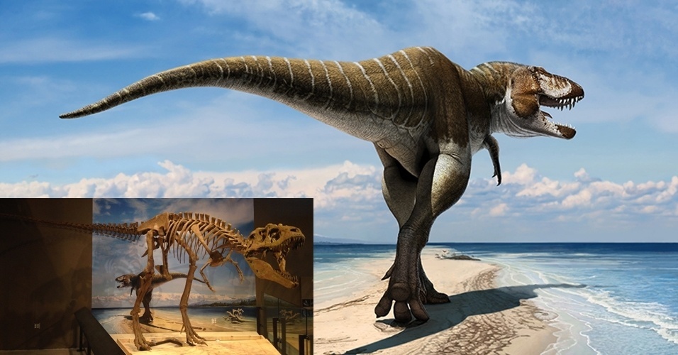 dinossauro-com-penas-e-quatro-asas-maior-j-descoberto-16-07-2014