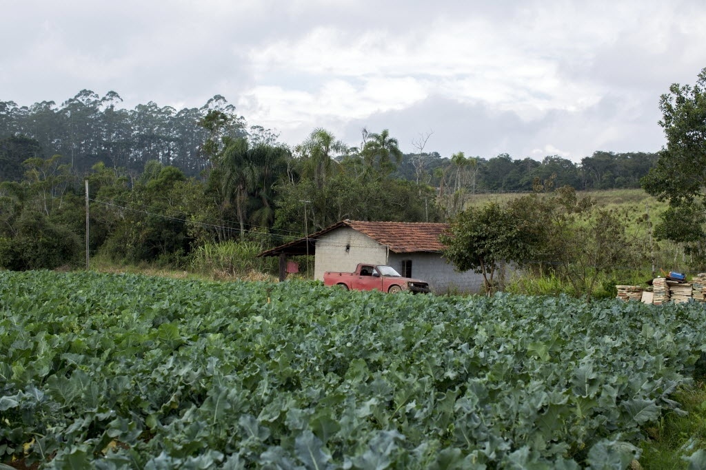 Você sabia que existe fazenda em SP? Zona rural da capital tem ...